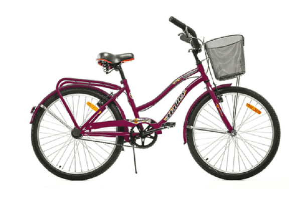 Bicicleta Paseo R24 Firebird 1v Frenos V-brakes Envio Gratis CABA y GBA (BIN19337) - Imagen 10