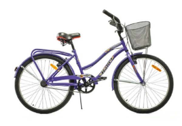 Bicicleta Paseo R24 Firebird 1v Frenos V-brakes Envio Gratis CABA y GBA (BIN19337) - Imagen 9