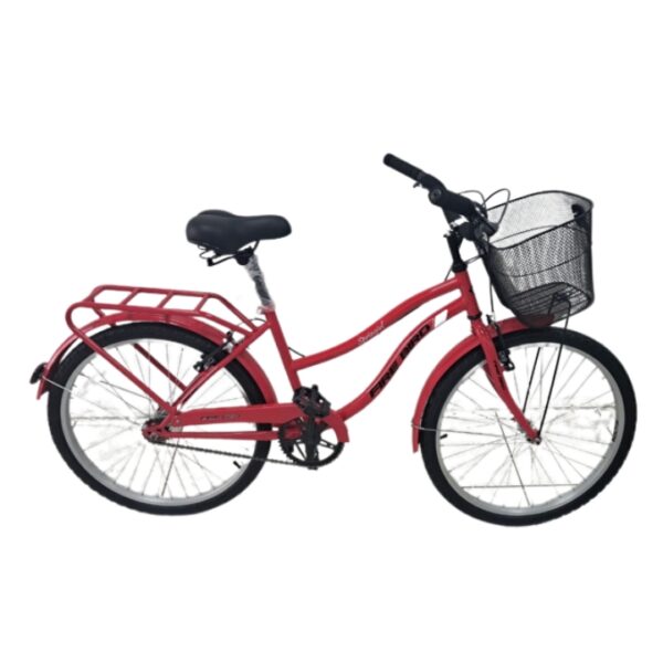 Bicicleta Paseo R24 Firebird 1v Frenos V-brakes Envio Gratis CABA y GBA (BIN19337) - Imagen 6