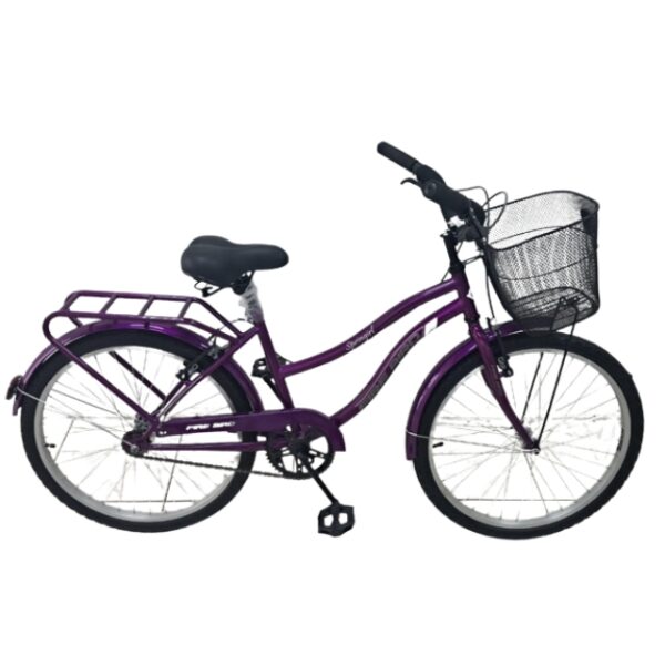 Bicicleta Paseo R24 Firebird 1v Frenos V-brakes Envio Gratis CABA y GBA (BIN19337) - Imagen 7