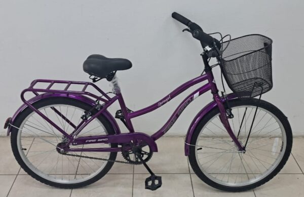 Bicicleta Paseo R24 Firebird 1v Frenos V-brakes Envio Gratis CABA y GBA (BIN19337) - Imagen 4