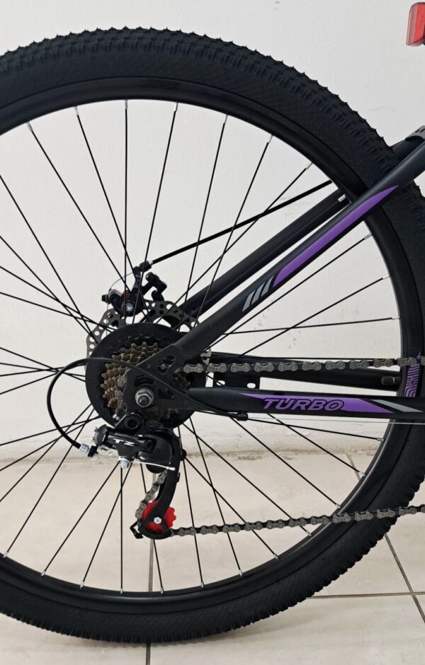 Bicicleta Mtb Firebird R29 Turbo 21vel. Frenos A Disco (BIN29000) - Imagen 10