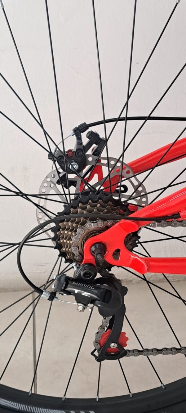 Bicicleta Mountain Firebird Doble Suspensión Rodado 29 (BIN29SUS21D) - Imagen 16